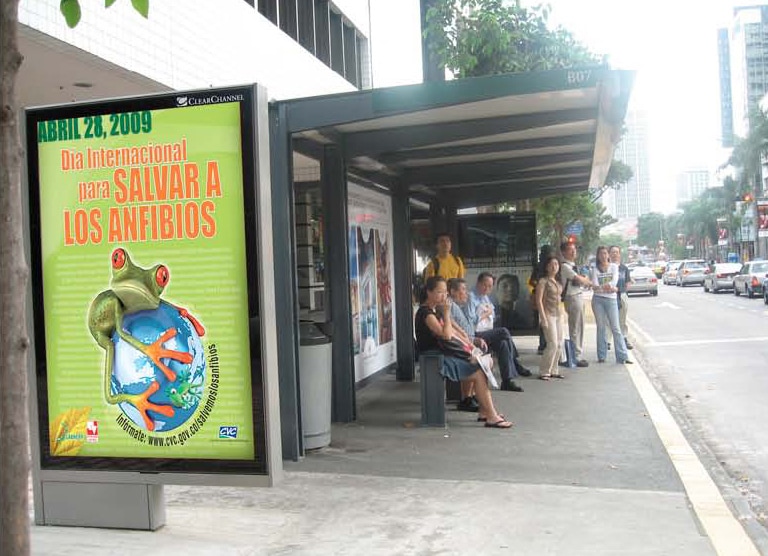 Save the frogs day 2009 cali colombia fernando castro 2