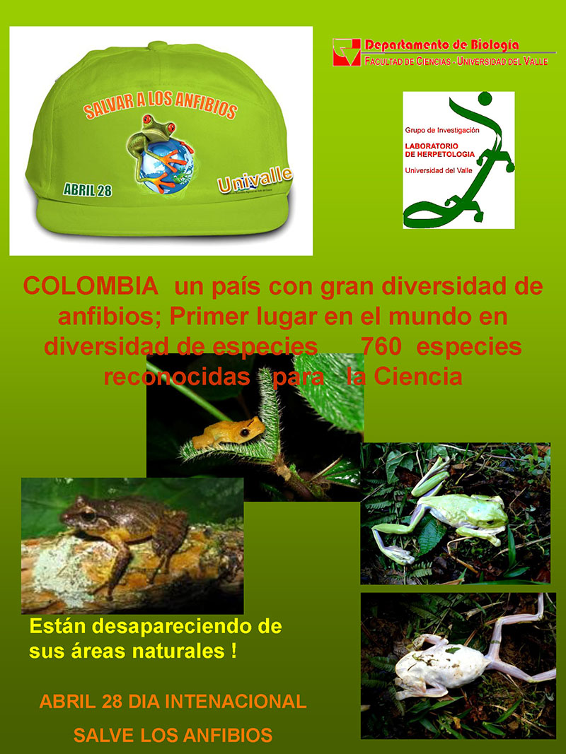Save the frogs day 2009 cali colombia fernando castro 3