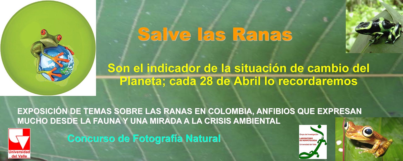 Save the frogs day 2009 cali colombia fernando castro 4