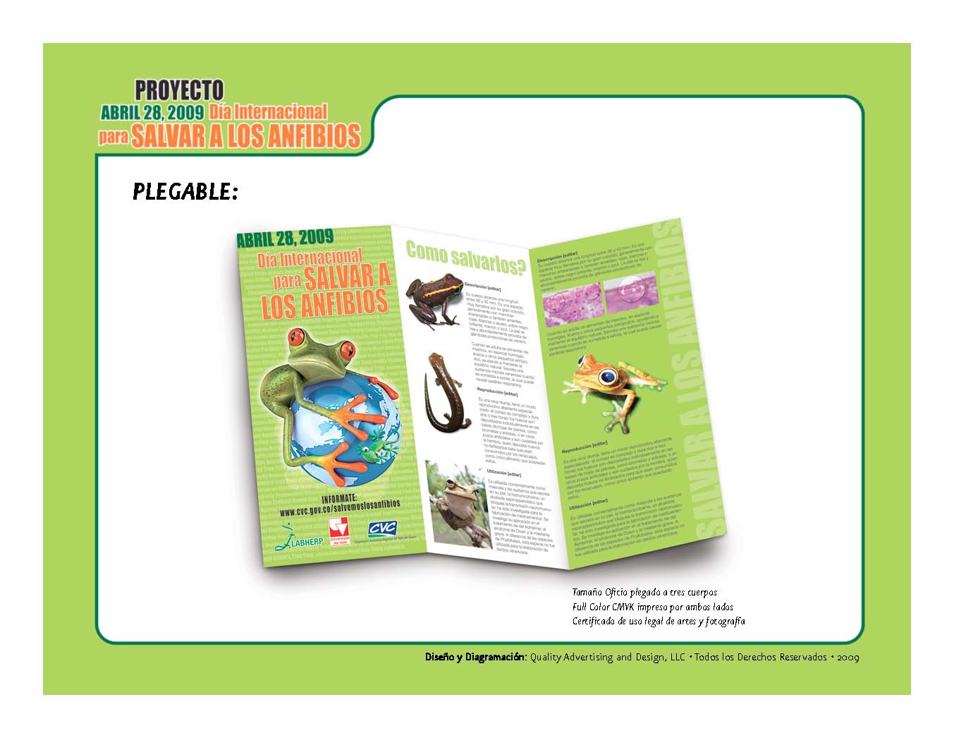 Save the frogs day 2009 cali colombia fernando castro 7