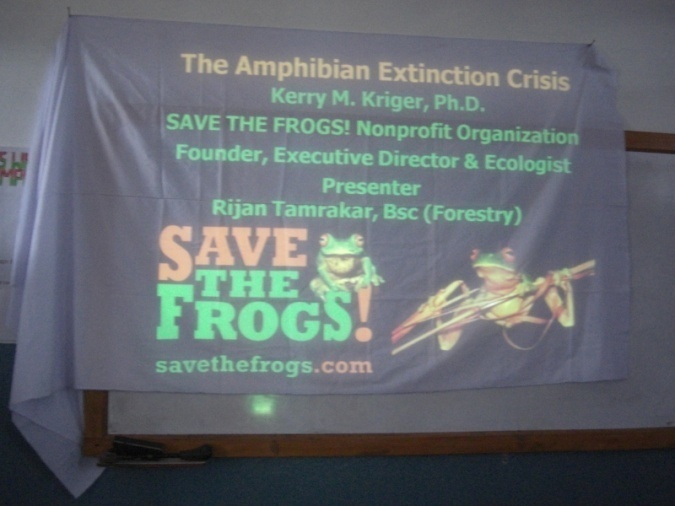 Save the frogs day 2009 everest english school of bhaktapur nepal 2