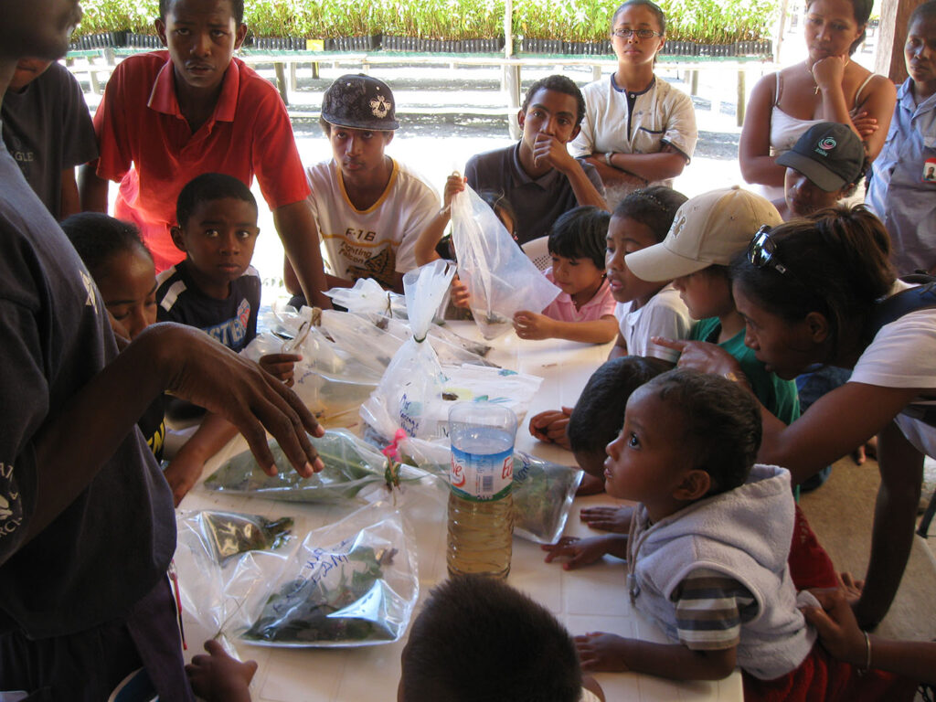 Save the frogs day 2009 madagascar 1