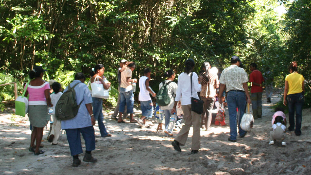 Save the frogs day 2009 madagascar 4