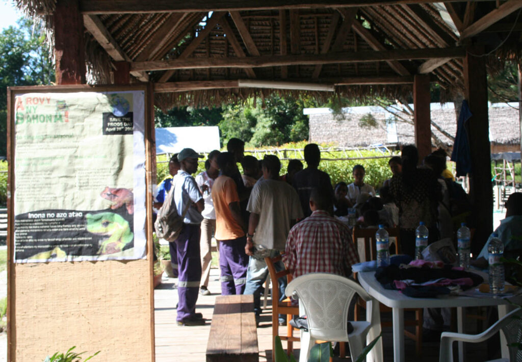 Save the frogs day 2009 madagascar 5