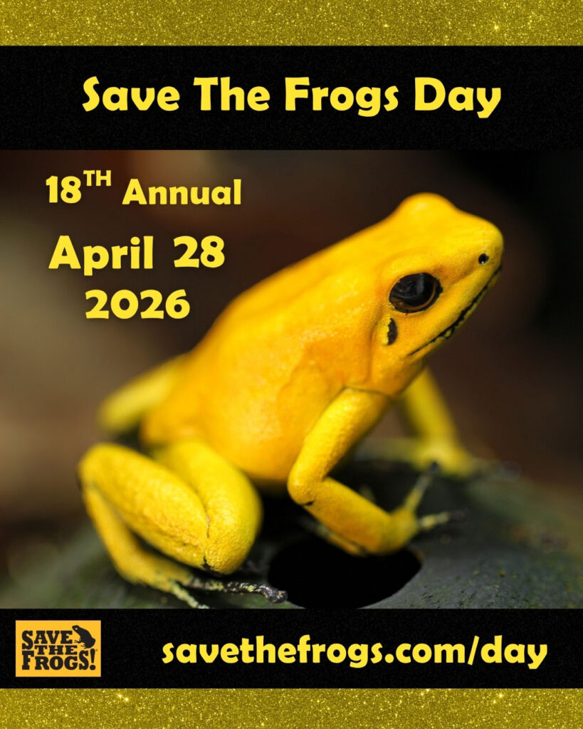 save the frogs day 2026 icon dendrobates terribilis vertical 4x5 1080