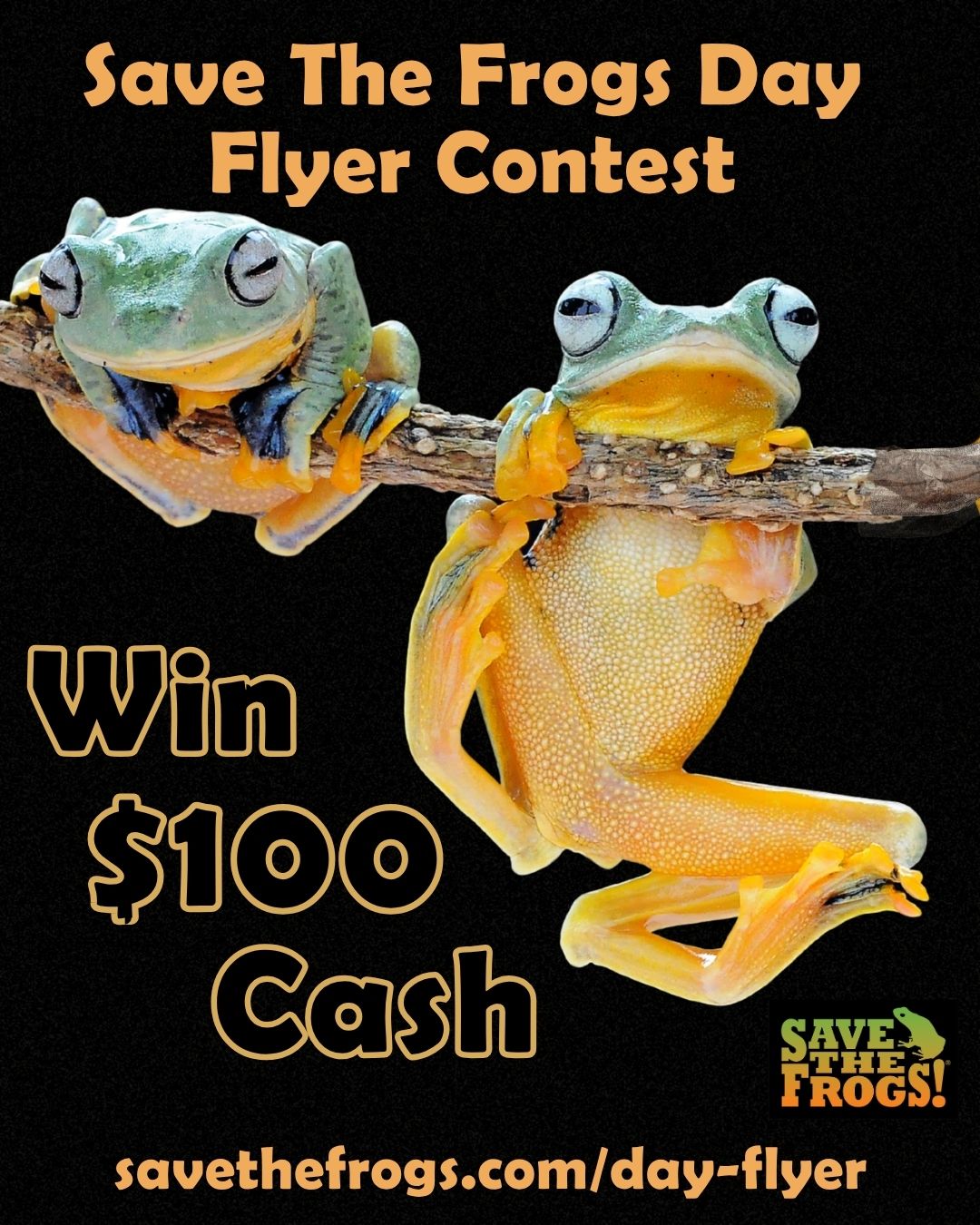 Save The Frogs Day Flyer Contest Vertical 4x5 1