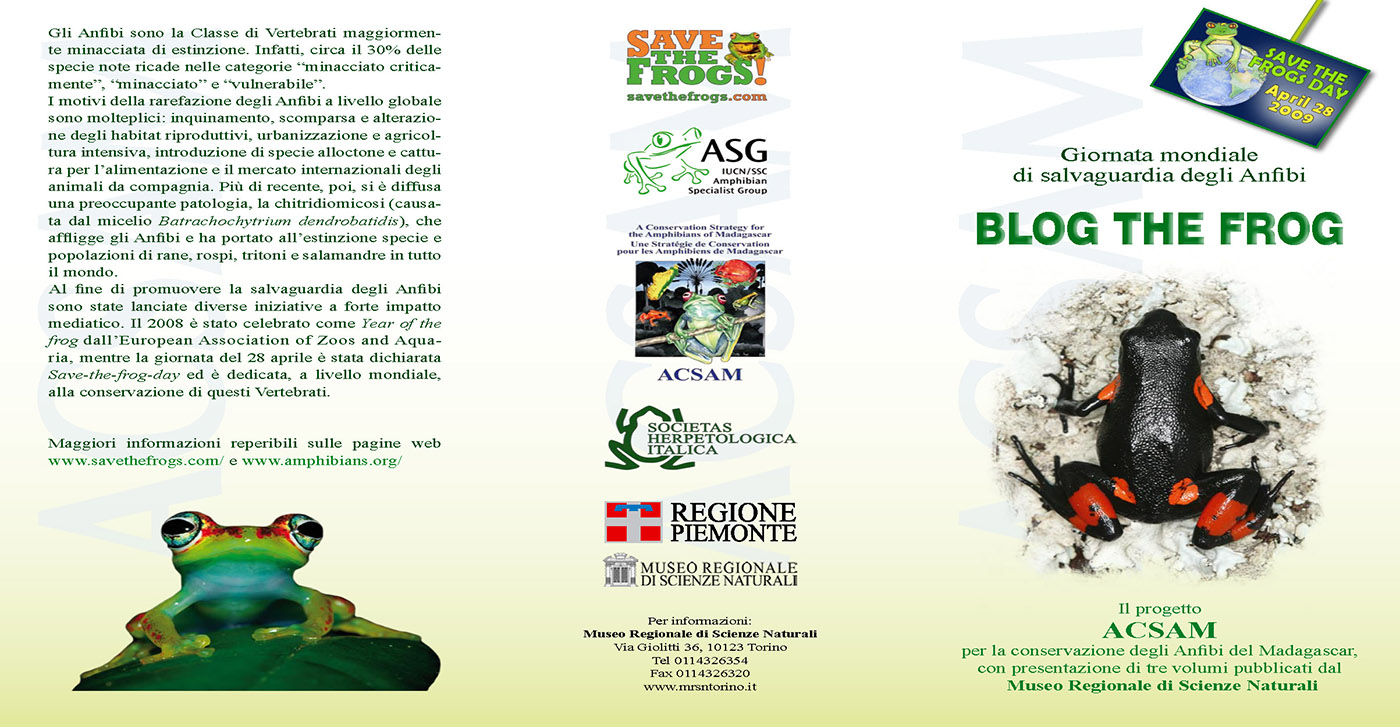 Save the frogs day franco andreone blog the frog page 1 1400