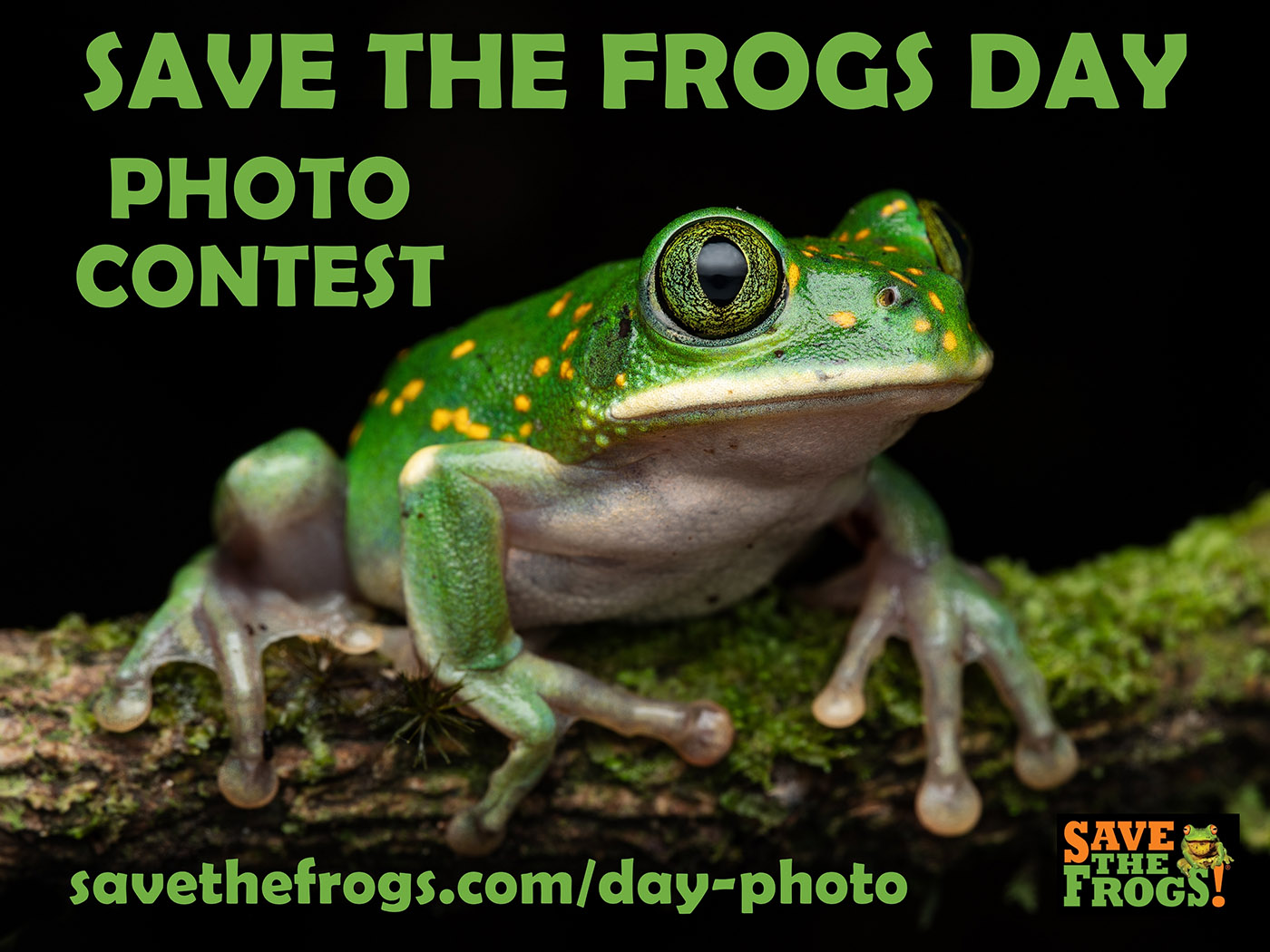 Save The Frogs Day Photo Contest Icon 4x3 1400
