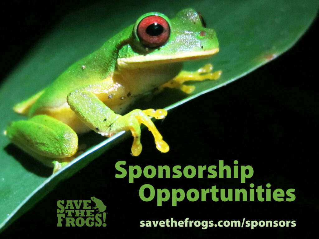 SAVE THE FROGS! Sponsors
