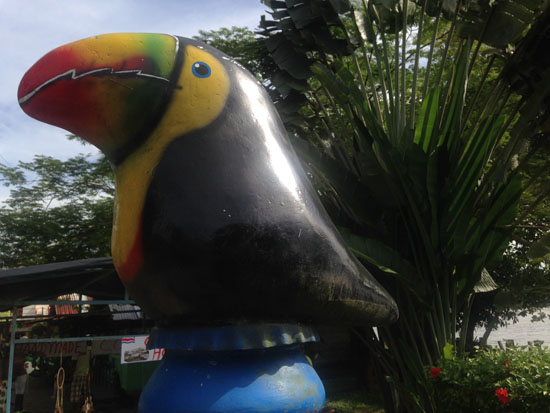 tortuguero art toucan