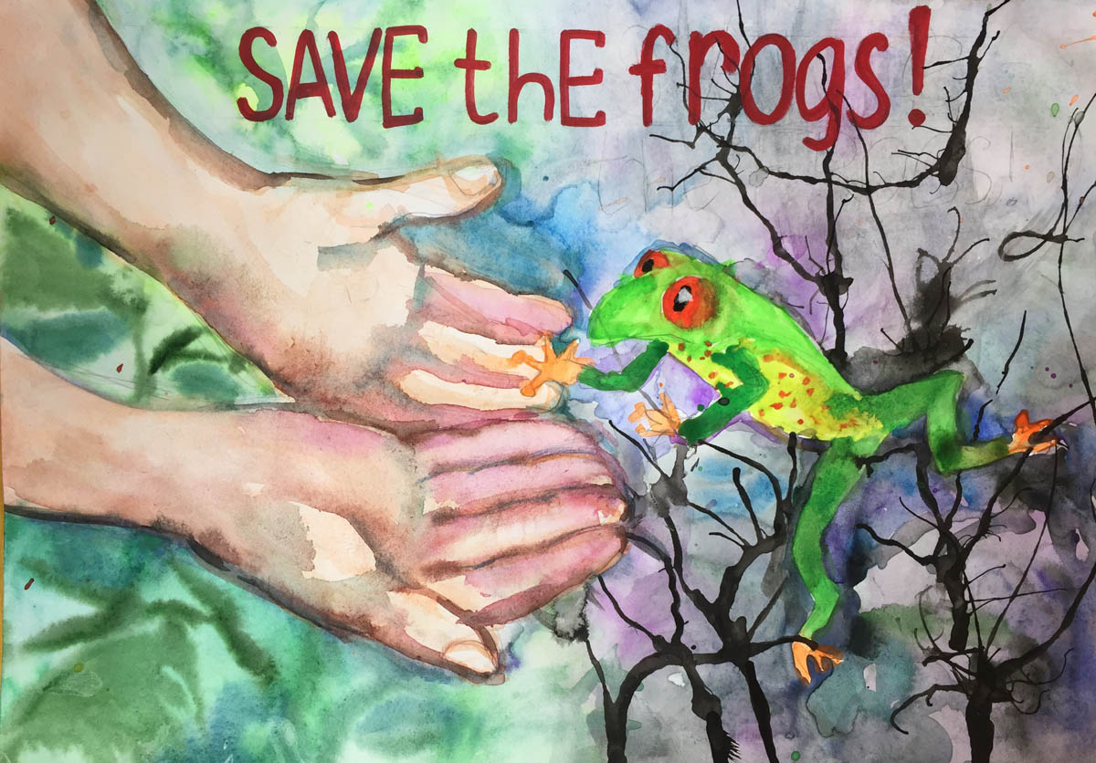 София-Зайцева-Russia-2020-save-the-frogs-art-contest