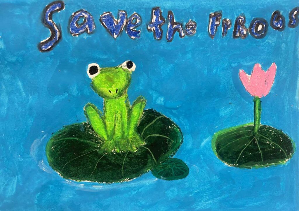 康兒 范 Hong Kong 2023 save the frogs art contest 1